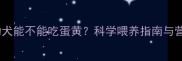 拉布拉多幼犬能不能吃蛋黄科学喂养指南与营养禁忌全