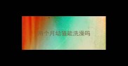 两个月幼猫能洗澡吗