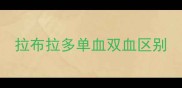 拉布拉多单血双血区别