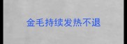 金毛持续发热不退