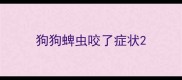 狗狗蜱虫咬了症状