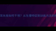 哈士奇幼犬立耳失败如何干预从生理特征到训练方法的科学饲养指南