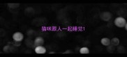 猫咪跟人一起睡觉