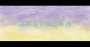 深圳宠物批发市场
