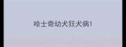 哈士奇幼犬狂犬病