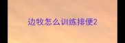 边牧怎么训练排便