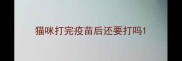 猫咪打完疫苗后还要打吗
