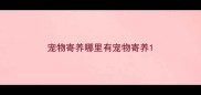 宠物寄养哪里有宠物寄养
