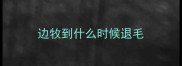 边牧到什么时候退毛