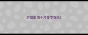 萨摩耶四个月要变猴脸