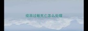 疫苗过敏死亡怎么处理