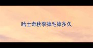 哈士奇秋季掉毛掉多久