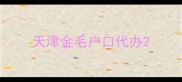 天津金毛户口代办