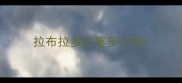 拉布拉多比赛多少钱