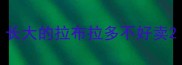 长大的拉布拉多不好卖