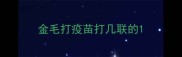 金毛打疫苗打几联的