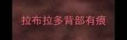 拉布拉多背部有痕