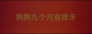 狗狗九个月双排牙