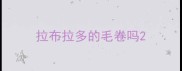 拉布拉多的毛卷吗