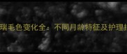 雪纳瑞毛色变化全不同月龄特征及护理指南