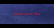 狗狗细小后多久打疫苗
