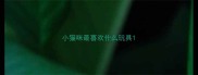 小猫咪最喜欢什么玩具