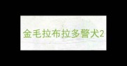金毛拉布拉多警犬