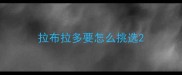 拉布拉多要怎么挑选
