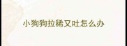 小狗狗拉稀又吐怎么办