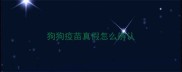 狗狗疫苗真假怎么辨认