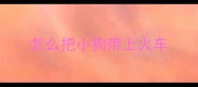 怎么把小狗带上火车