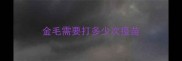 金毛需要打多少次疫苗