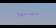 拉布拉多纯种品相好的价格