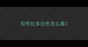 拉布拉多白色怎么看