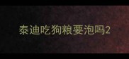泰迪吃狗粮要泡吗