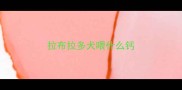 拉布拉多犬喂什么钙