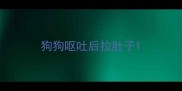狗狗呕吐后拉肚子
