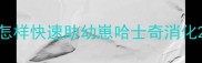 怎样快速助幼崽哈士奇消化