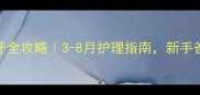 金毛换牙全攻略3-8月护理指南新手爸妈必看