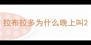 拉布拉多为什么晚上叫
