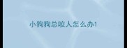 小狗狗总咬人怎么办