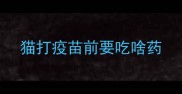 猫打疫苗前要吃啥药