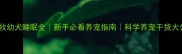 边牧幼犬睡眠全新手必看养宠指南科学养宠干货大公开
