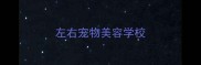 左右宠物美容学校