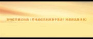 宠物疫苗避坑指南英特威疫苗到底靠不靠谱附最新选择清单