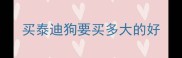 买泰迪狗要买多大的好