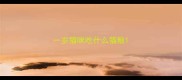 一岁猫咪吃什么猫粮