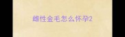 雌性金毛怎么怀孕