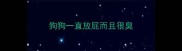 狗狗一直放屁而且很臭