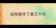 边牧换牙了是几个月